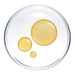 Kangaroo Paw Extract